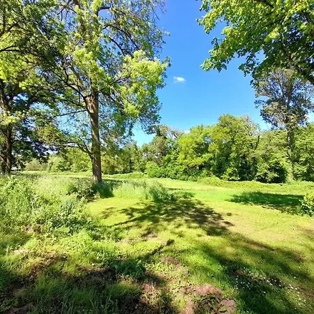 Holiday home Le Jardin Du Matou Country Estate Near Eymet With Pool
