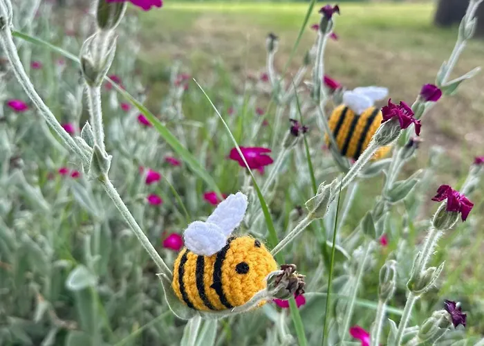 Lavanda House Grand Piscine Roumagne
